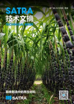 STB第71期封面图片。